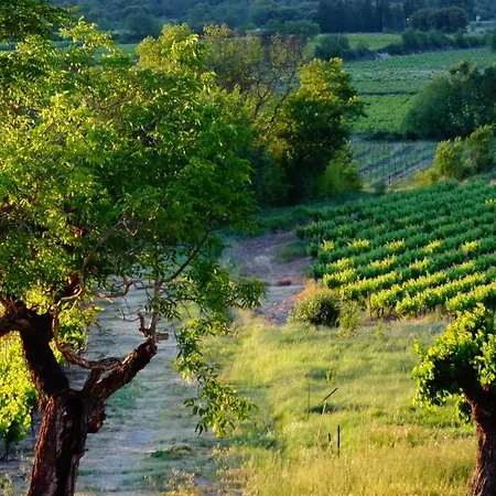 Domaine De Monteils *