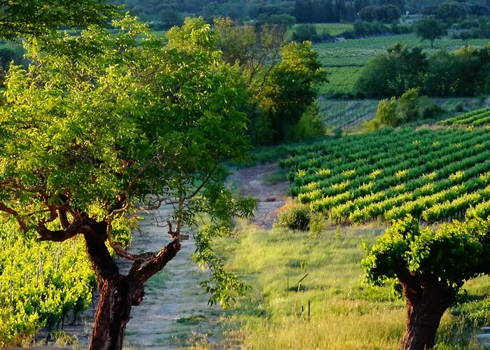 Domaine De Monteils *