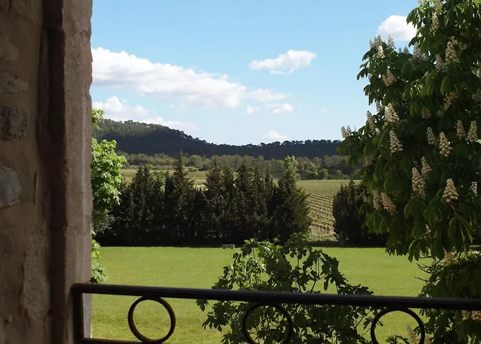 Domaine De Monteils *